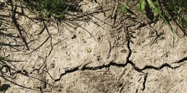 Европа нагревается быстрее, чем ожидалось, из-за изменения климата