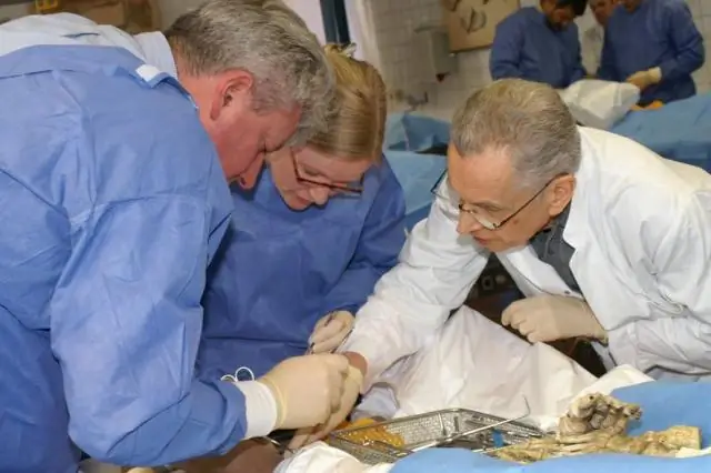 Клеточная биология: потенциальное падение сигнализирует о неминуемой опасности