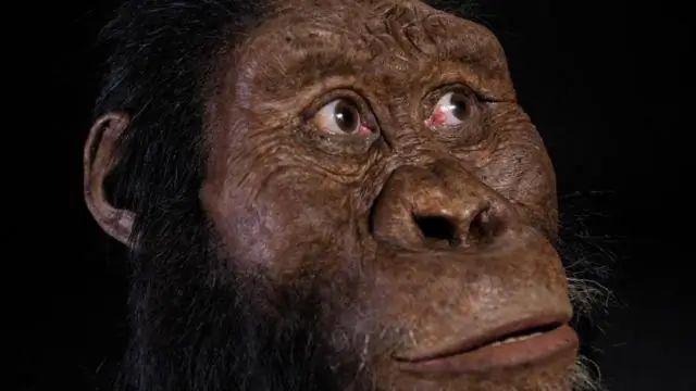 Лицо предка Люси