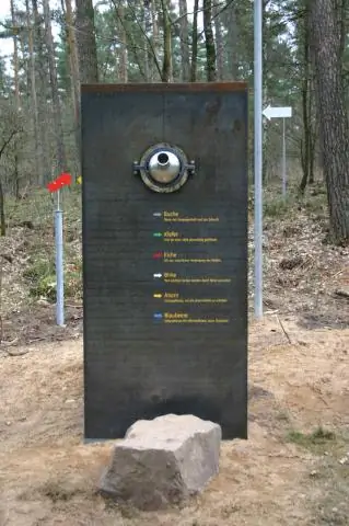 Бактерии, питающиеся цветущими арктическими водорослями, могут сеять облака