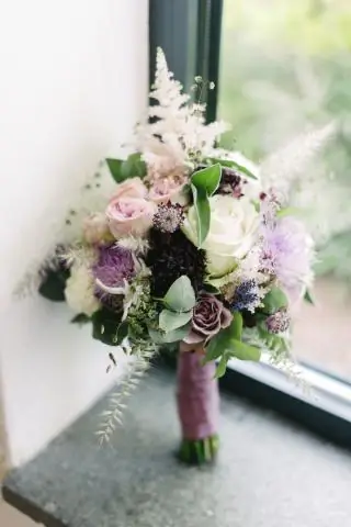 Понимание того, как растения переносят слишком много железа: ученые обнаружили ген, ответственный за помощь растениям в стрессовых условиях