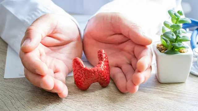 Этот белок помогает существам чувствовать холод