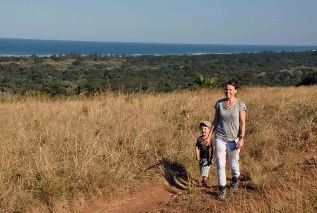 Крадущийся лев, затаившийся жираф: еда, хищники и люди влияют на социальное поведение жирафа