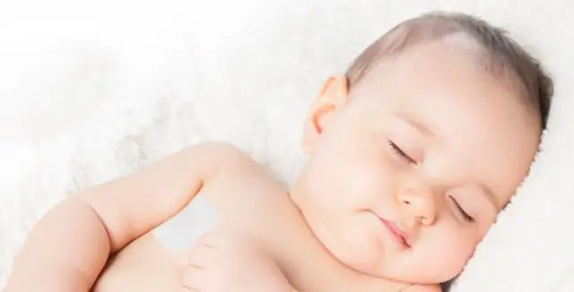 Крошечный термометр измеряет, как митохондрии нагревают клетку, высвобождая энергию протонов