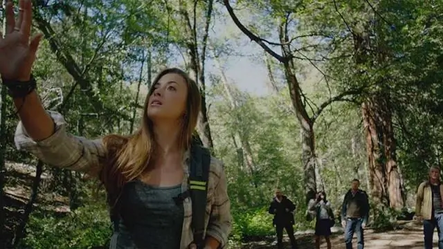 Раскрытие тайны уровня железа в океане