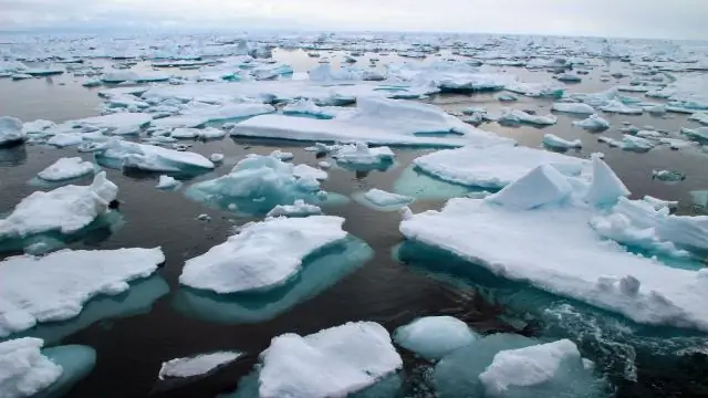 Раннее начало таяния арктического морского льда в 20 веке