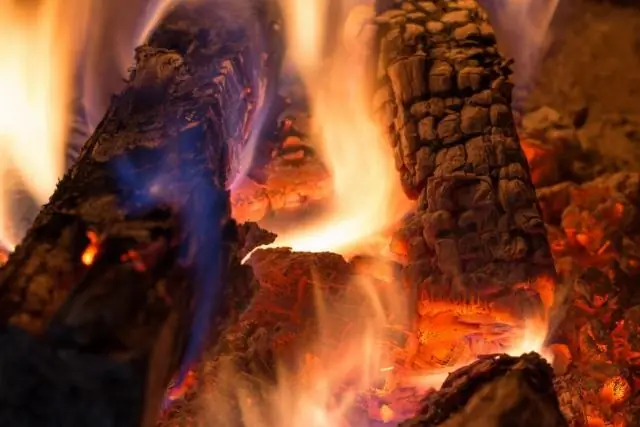 Biochar: лучший старт для восстановления тропических лесов