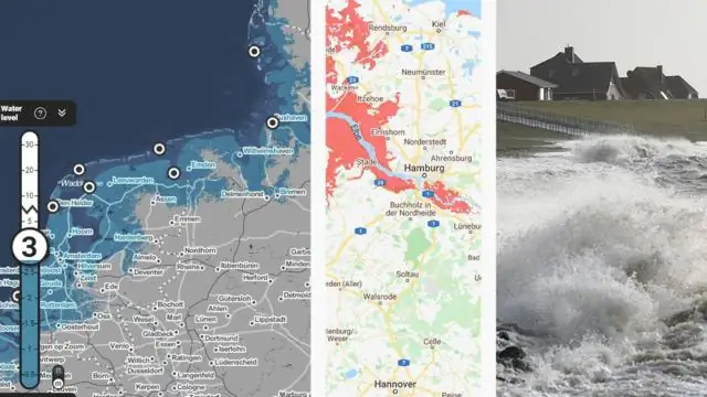 Выявлено влияние изменения климата на глобальные урожаи бананов