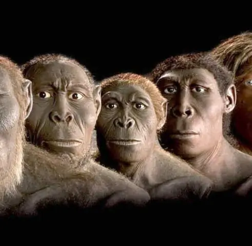 Половой отбор влияет на эволюцию феромонов миноги