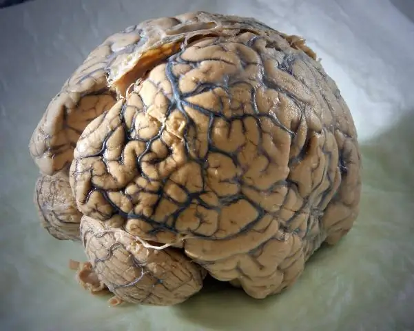 Роль землетрясений в возникновении «внезапного» цунами