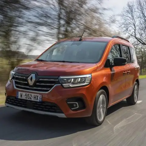 Новые результаты по генетике грибов