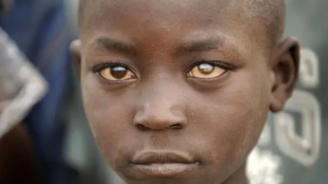 Возраст песчаника навахо