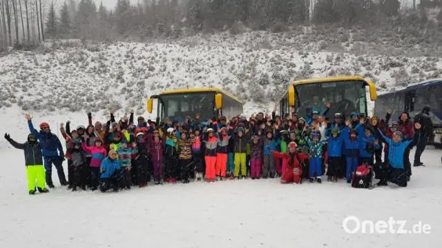 Камни на месте падения астероида зафиксировали первый день вымирания динозавров
