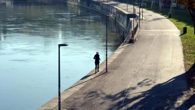 Математическая модель может помочь скорректировать систематическую ошибку при измерении бактериальных сообществ