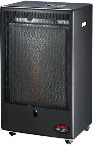 Электрический угорь производит разряд самого высокого напряжения среди всех известных животных