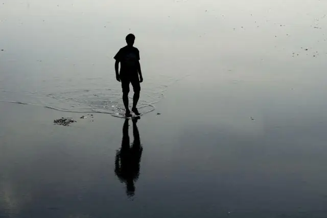 Все размыто..почему полосы скрывают движущуюся добычу