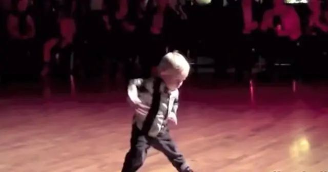 Математика показывает, почему животные могут видеть ночью: биологические эксперименты подтверждают математическое моделирование развития сетчатки у мышей