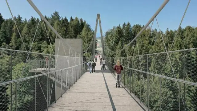 Топография может спасти чувствительных сагуаро при изменении климата