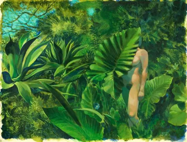 Самки горилл должны сбалансировать репродуктивные издержки, связанные с тем, чтобы остаться с пожилым самцом или оставить его