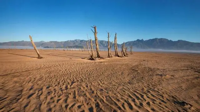 Загрязнение окружающей среды в Китае начинает снижаться