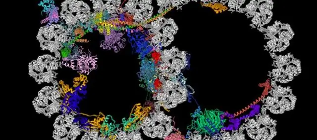 Молекулярные секреты амаранта Палмера раскрывают тревожный потенциал