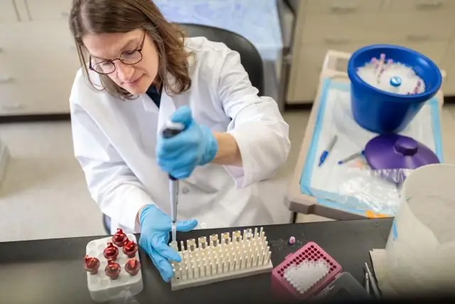 Генно-инженерная плазмида может быть использована для борьбы с устойчивостью к противомикробным препаратам