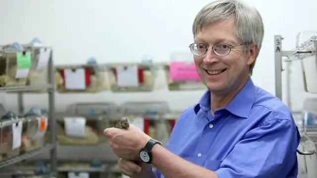 Гены ренегатов пойманы с поличным