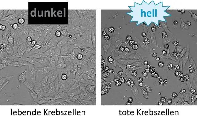 Бактериальные структуры «Звезды Смерти», которые вводят белки, могут быть использованы для доставки лекарств