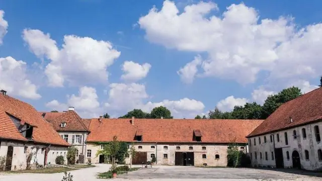 Детеныш акул теряет прирост в стрессовой среде