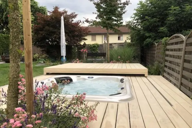 Влияние вариаций T6SS и бактерий на конкуренцию в принимающей среде