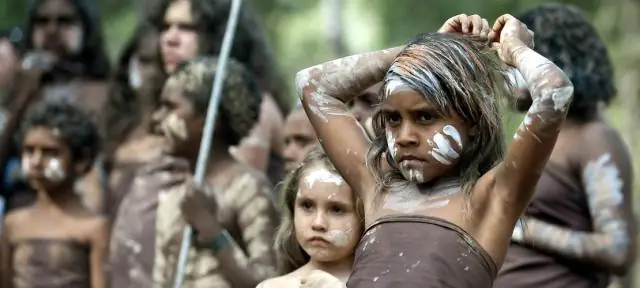 Какая часть питания кораллов поступает от охоты?