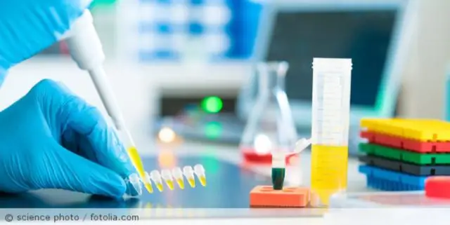 Исследователи смешивают РНК и ДНК, чтобы изучить, как процесс жизни зародился миллиарды лет назад