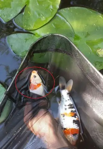 Вопрос концентрации