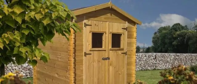 Прибрежные птицы могут пережить шторм, но не море: популяции прибрежных птиц устойчивы к ураганам