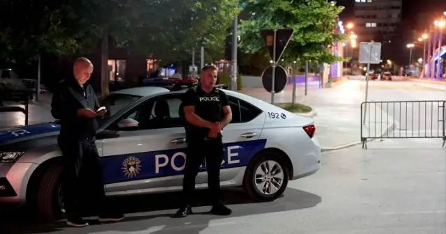 Запланированные дороги станут «кинжалом в сердце» для лесов и дикой природы Борнео