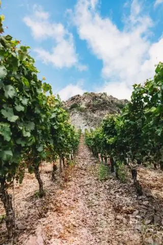 Как горная порода расширяется вблизи поверхности почвы в Южной Сьерра-Неваде