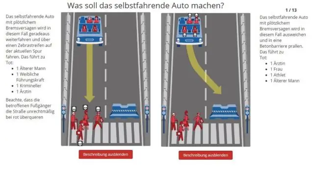 Избыточный вес Датчане чаще заводят собак с избыточным весом