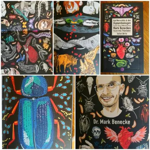 Биологи распутывают рост и защиту кукурузы, определяют основные механизмы действия антибиотиков