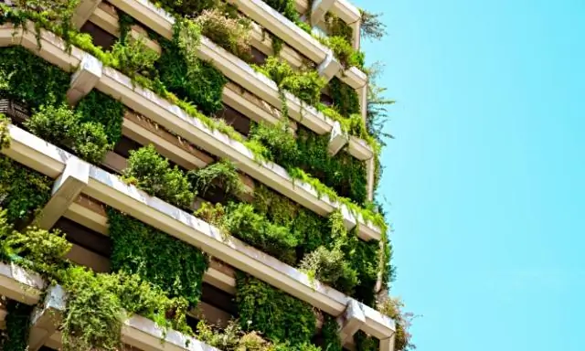 Инвестиции в решение проблемы изменения климата - хороший бизнес