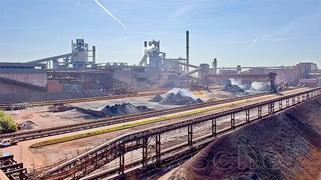 США и Канада потеряли более 1 из 4 птиц за последние 50 лет