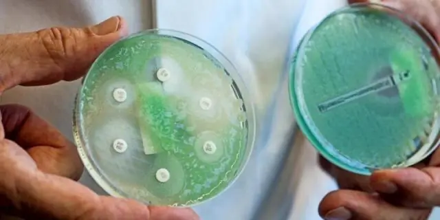 Исследователи нашли способ убить патоген, устойчивый к антибиотикам