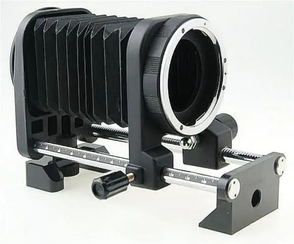 Съемка крупным планом экспрессии клеточных генов: одномолекулярный подход к транскрипции РНК проливает свет на новые детали