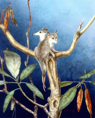 Является ли теория о климате Земли за последние 15 миллионов лет неверной? Исследование ставит под сомнение гипотезу выветривания гималайских пород