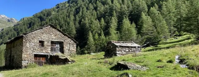 Кинетика роста кристаллов и ее связь с эволюцией: новые данные о биоминерализации в раковинах моллюсков