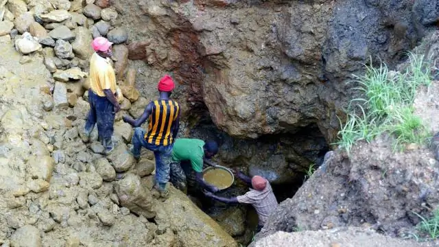 Проблема с пропагандой «ответственного владения собаками»