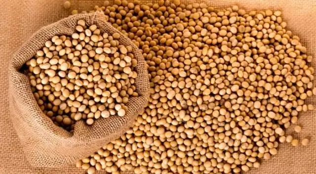 Как белок, соединяющий кальций и фитогормон, регулирует рост растений