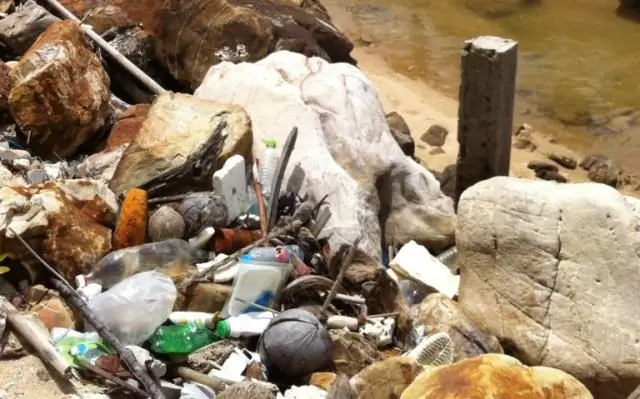 Откажитесь от режима деликатной стирки, чтобы спасти наши моря