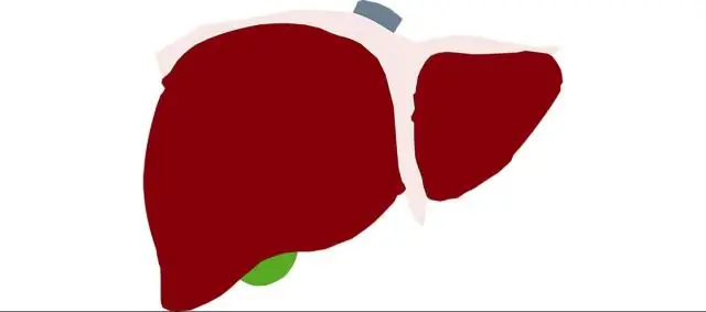 Раскрыта молекулярная основа зрения