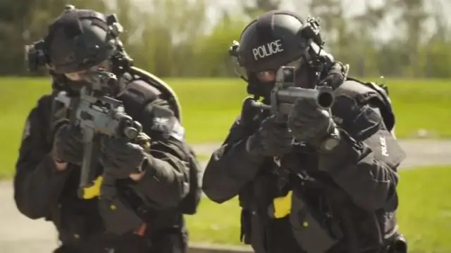 Новый метод улучшает измерение поведения животных с помощью глубокого обучения