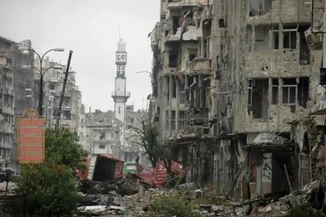 Экстремальные лесные пожары превращают лесные массивы в кустарники